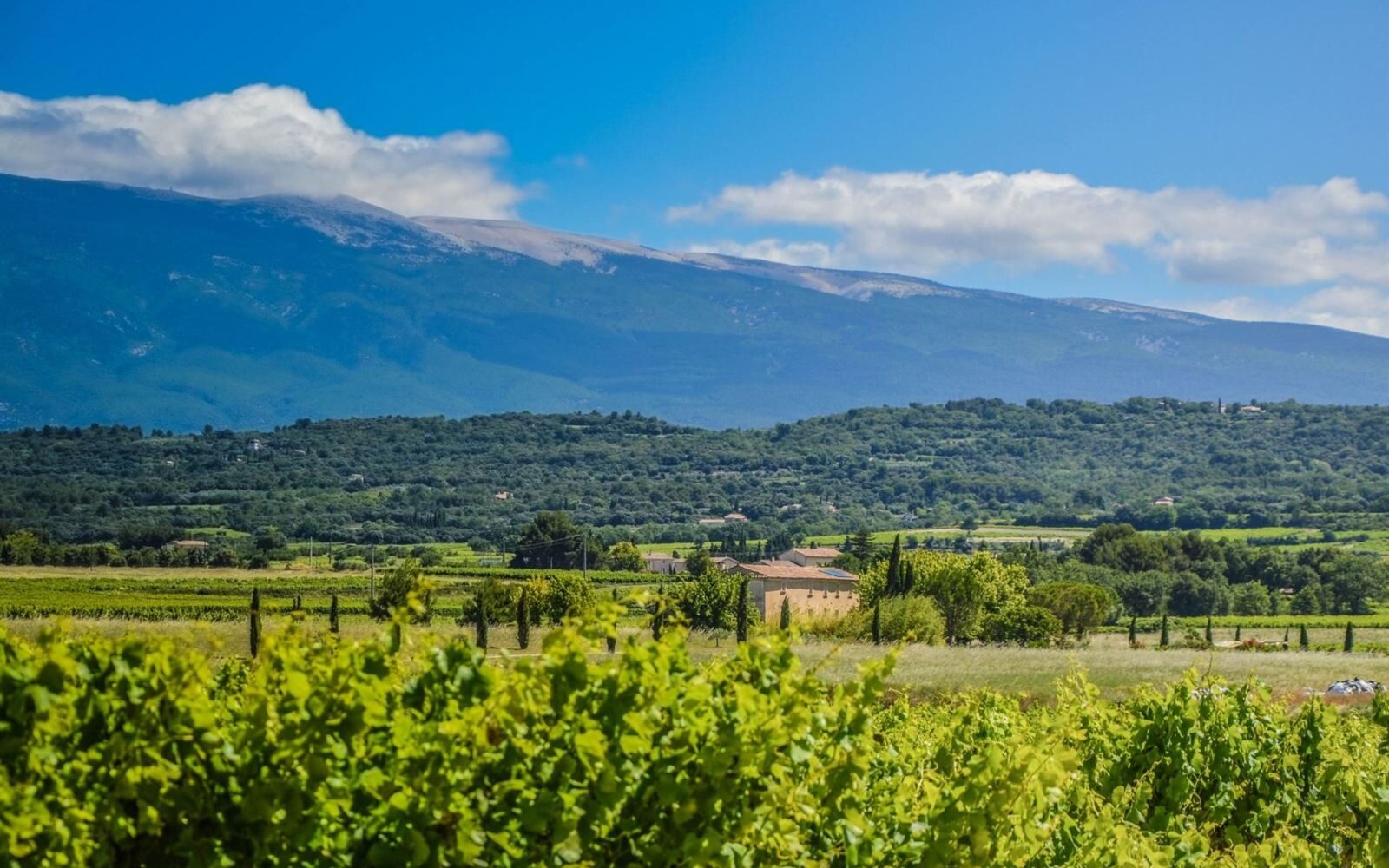 Le mas Provençal