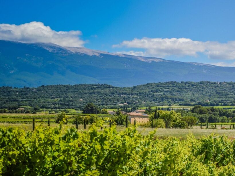 Le mas Provençal